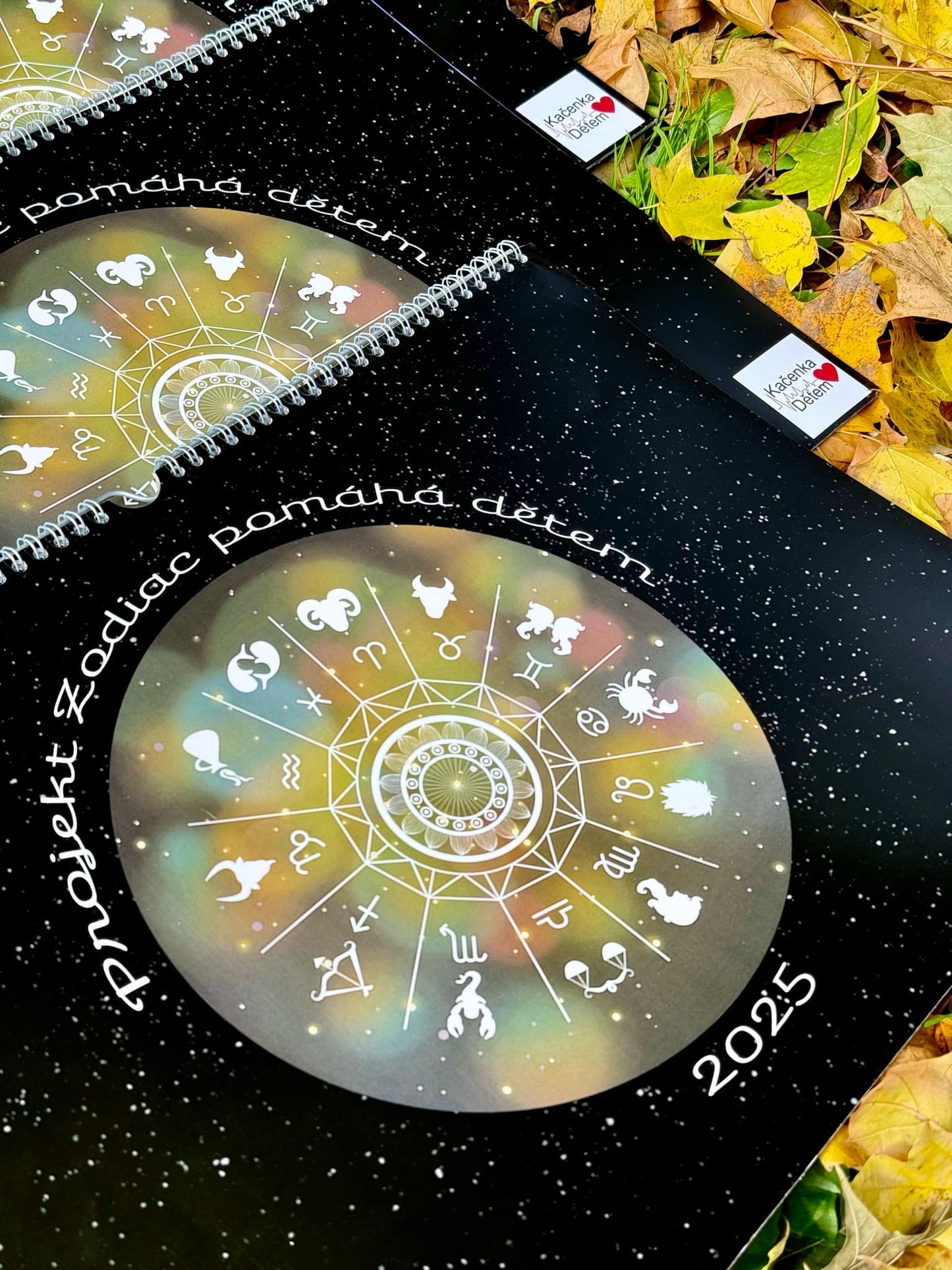 Zodiac Calendar 2025