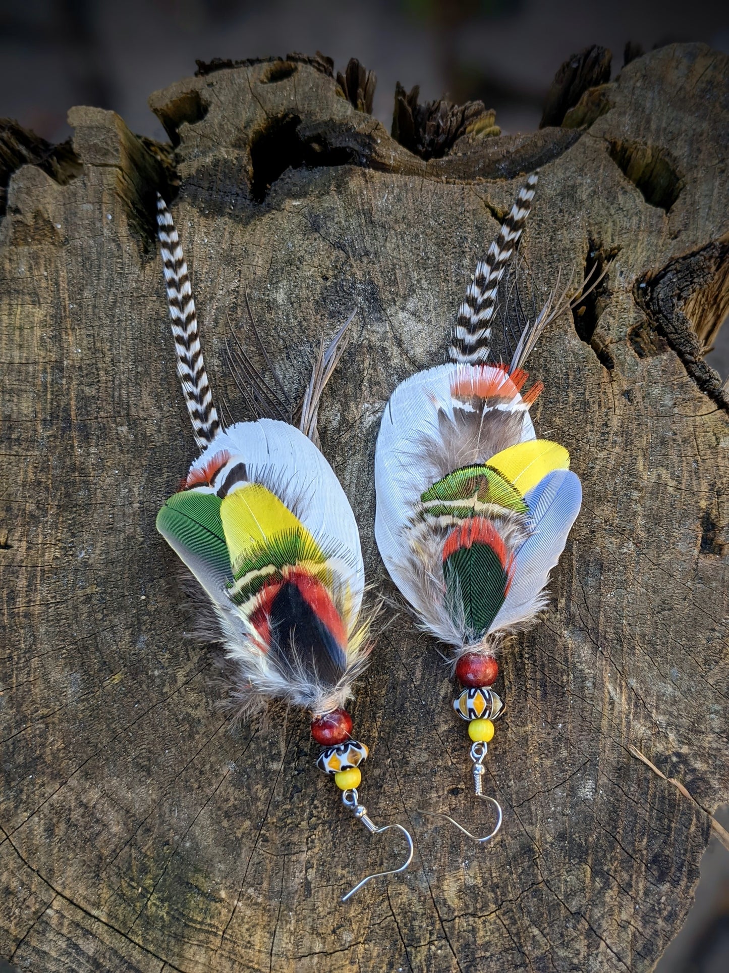 Earrings Lacquer