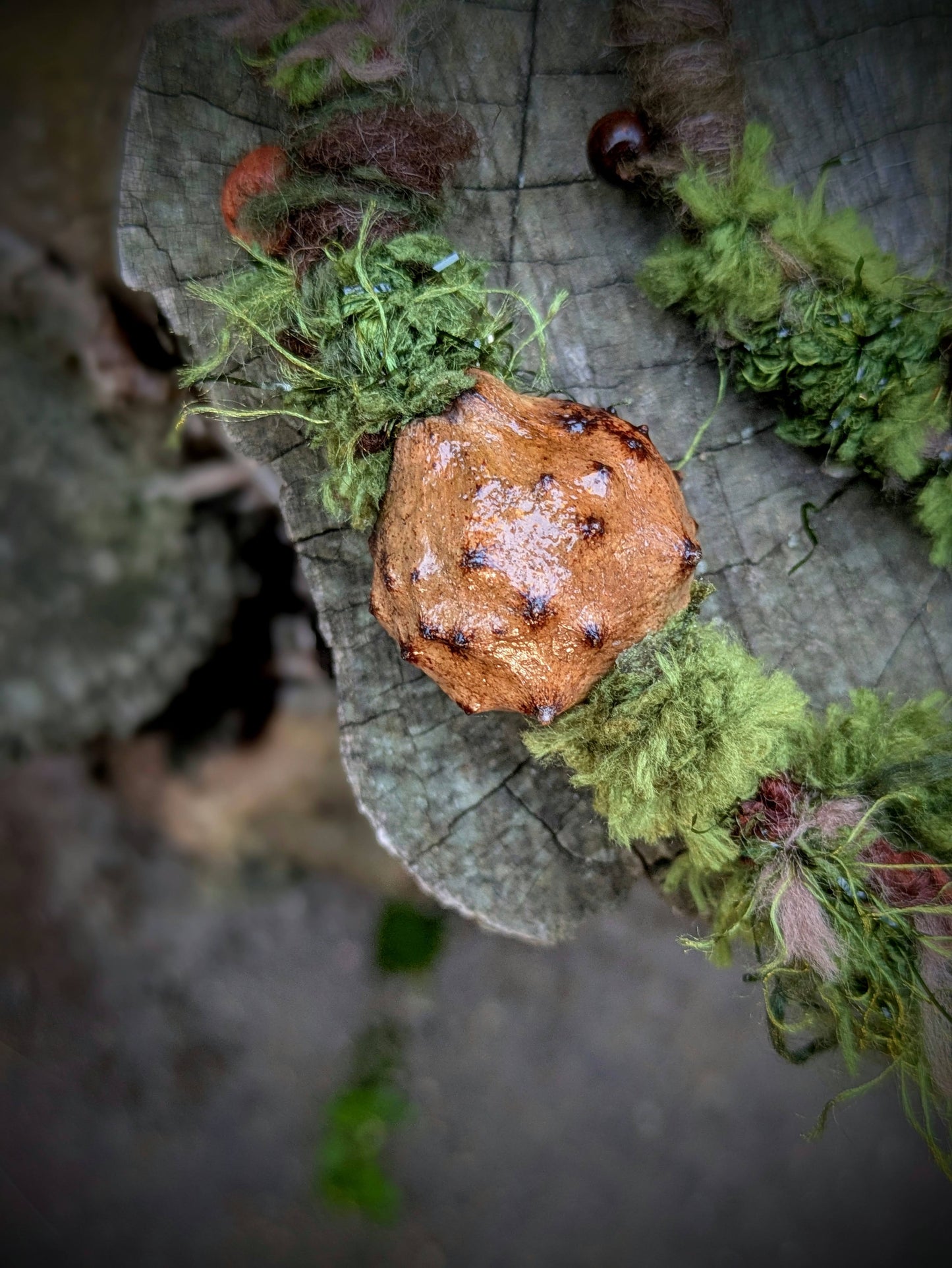 Hairwrap Amanita (2v1)