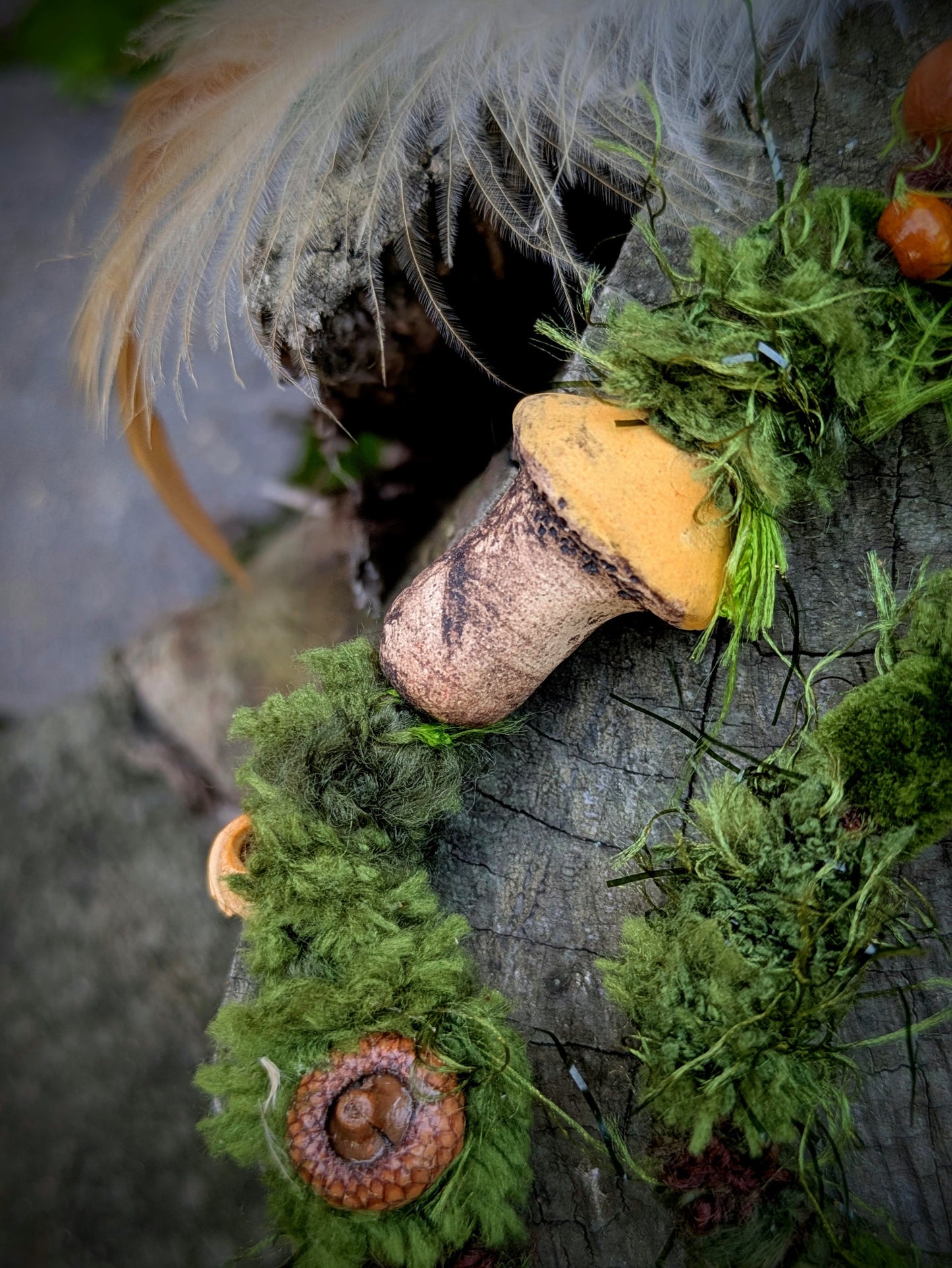 Hairwrap Suillus (2v1)
