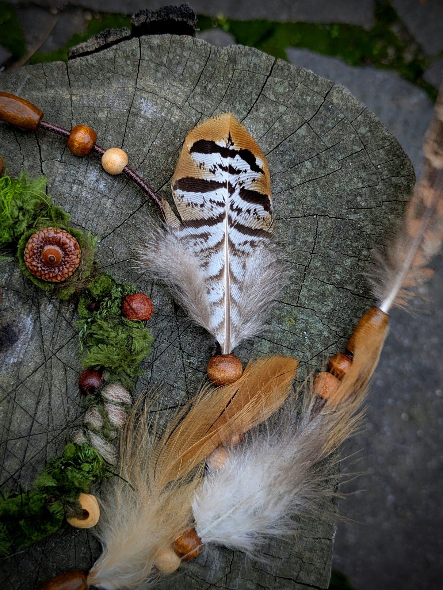 Hairwrap Suillus (2v1)