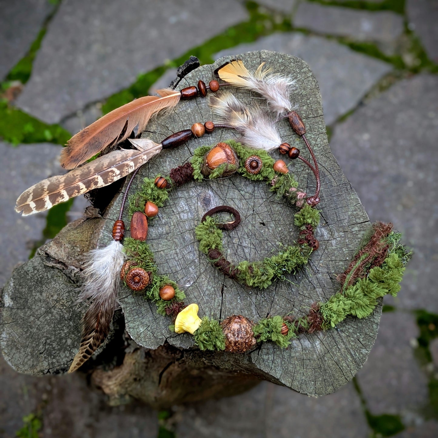 Hairwrap Cantharellus (2v1)