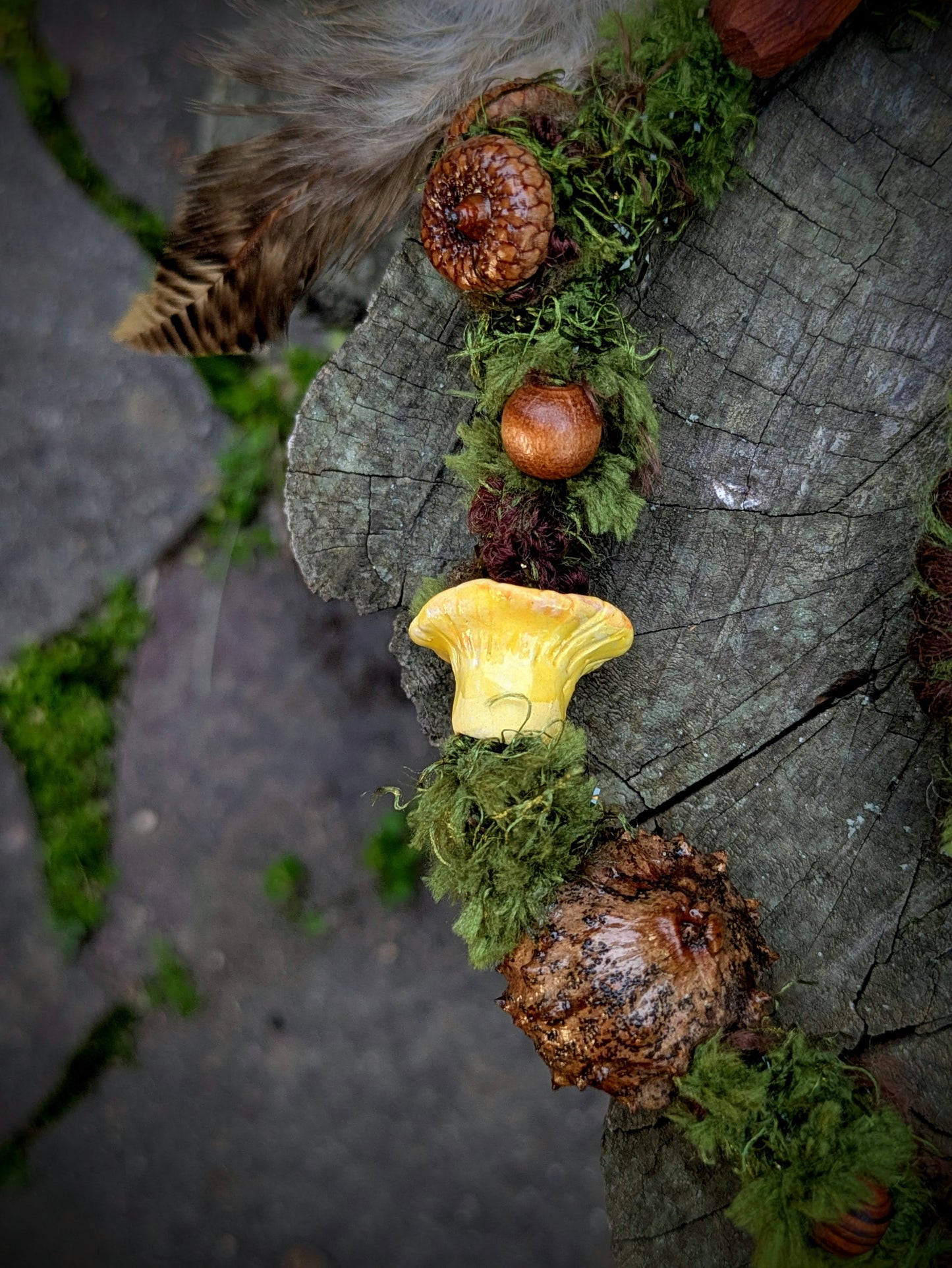 Hairwrap Cantharellus (2v1)