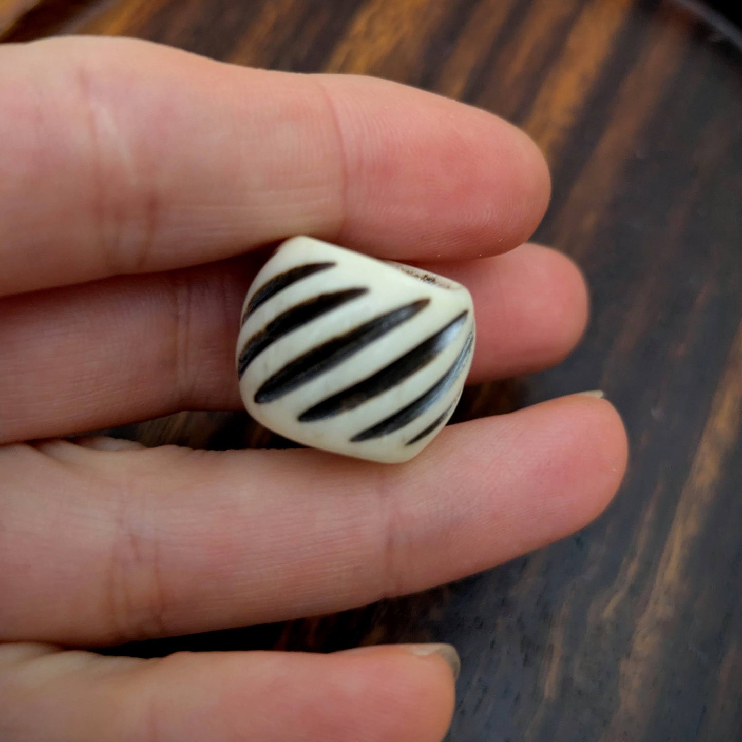 Korálek kostěný rýhy