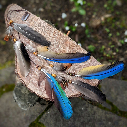 Illuin hair feathers