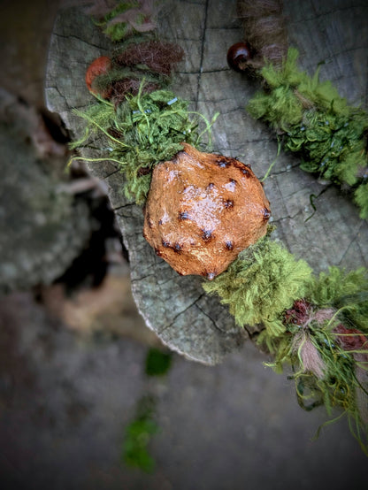 Hairwrap Amanita (2v1)