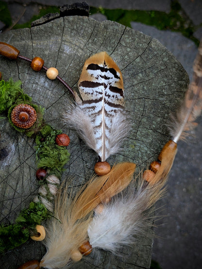Hairwrap Suillus (2v1)